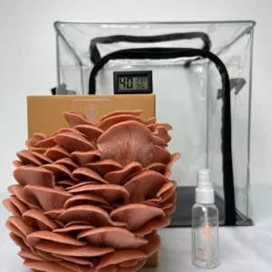 Mushroom Grow Kits
